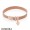 Pandora Rose Reflexions Floating Heart Gift Set Jewelry