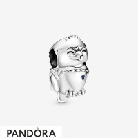 Women's Pandora American Bald Eagle Charm Jewelry Women's Pandora American Bald Eagle Charm Jewelry