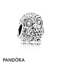 Pandora Animals Pets Charms Charming Owls Charm Jewelry