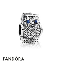 Pandora Animals Pets Charms Graduate Owl Swiss Blue Crystal Clear Cz Jewelry Pandora Animals Pets Charms Graduate Owl Swiss Blue Crystal Clear Cz Jewelry