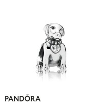 Pandora Animals Pets Charms Labrador Charm Clear Cz Jewelry Pandora Animals Pets Charms Labrador Charm Clear Cz Jewelry