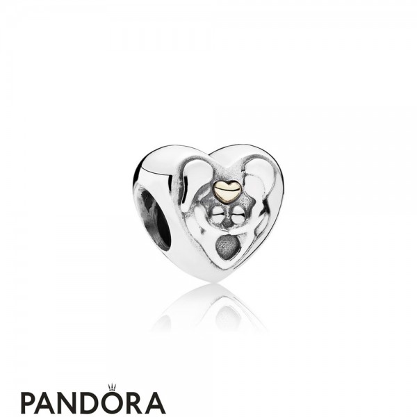 Stuiteren Ongelofelijk Bezienswaardigheden bekijken Pandora Family Charms Heart Of The Family Jewelry-Online Shop Pandora Charm