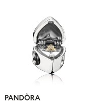 Women's Pandora Heart Gift Box Charm Jewelry Women's Pandora Heart Gift Box Charm Jewelry