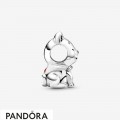 Women's Pandora Japanese Akita Inu Dog Charm Jewelry