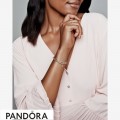 Women's Pandora My Nature Dangle Charm Jewelry