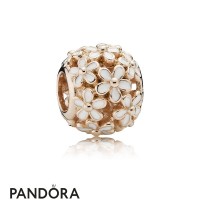 Pandora Nature Charms Darling Daisy Meadow Charm Pandora Rose White Enamel Jewelry Pandora Nature Charms Darling Daisy Meadow Charm Pandora Rose White Enamel Jewelry
