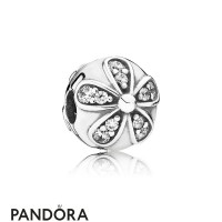 Pandora Nature Charms Dazzling Daisies Clip Clear Cz Jewelry Pandora Nature Charms Dazzling Daisies Clip Clear Cz Jewelry