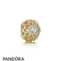 Pandora Nature Charms Floral Brilliance Charm Clear Cz 14K Gold Jewelry Pandora Nature Charms Floral Brilliance Charm Clear Cz 14K Gold Jewelry