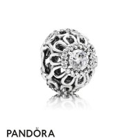 Pandora Nature Charms Floral Brilliance Charm Clear Cz Jewelry Pandora Nature Charms Floral Brilliance Charm Clear Cz Jewelry