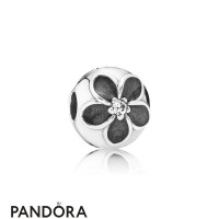 Pandora Nature Charms Mystic Floral Clip Clear Cz Black Enamel Jewelry Pandora Nature Charms Mystic Floral Clip Clear Cz Black Enamel Jewelry