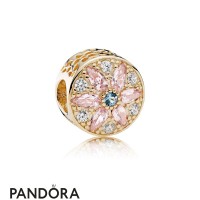 Pandora Nature Charms Opulent Floral Charm 14K Gold Multi Colored Crystals Clear Cz Jewelry Pandora Nature Charms Opulent Floral Charm 14K Gold Multi Colored Crystals Clear Cz Jewelry