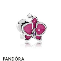 Pandora Nature Charms Orchid Charm Radiant Orchid Enamel Purple Cz Jewelry Pandora Nature Charms Orchid Charm Radiant Orchid Enamel Purple Cz Jewelry