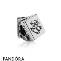 Pandora Passions Charms Career Aspirations Study Books With Owl Charm Jewelry