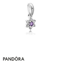 Pandora Pendant Charms Forget Me Not Pendant Charm Purple Clear Cz Jewelry Pandora Pendant Charms Forget Me Not Pendant Charm Purple Clear Cz Jewelry