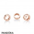 Pandora Rose Reflexions Logo Clip Charm Jewelry