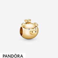 Women's Pandora Shining Pig Charm Jewelry Women's Pandora Shining Pig Charm Jewelry