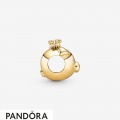 Women's Pandora Shining Pig Charm Jewelry