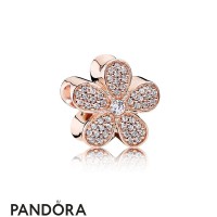Pandora Sparkling Paves Charms Dazzling Daisy Charm Pandora Rose Clear Cz Jewelry Pandora Sparkling Paves Charms Dazzling Daisy Charm Pandora Rose Clear Cz Jewelry