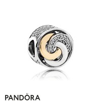 Pandora Symbols Of Love Charms Interlinked Circles Charm Clear Cz Jewelry Pandora Symbols Of Love Charms Interlinked Circles Charm Clear Cz Jewelry