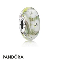 Pandora Touch Of Color Charms Wild Flowers Charm Murano Glass Clear Cz Jewelry Pandora Touch Of Color Charms Wild Flowers Charm Murano Glass Clear Cz Jewelry