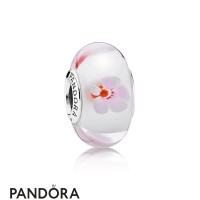 Pandora Touch Of Color Charms Wild Hearts Charm Murano Glass Jewelry Pandora Touch Of Color Charms Wild Hearts Charm Murano Glass Jewelry