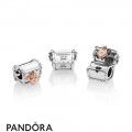 Women's Pandora 2019 Pandora Club Charm Jewelry