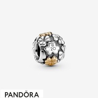 Pandora 2020 Limited Edition Four Jewelry Pandora 2020 Limited Edition Four Jewelry