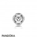 Women's Pandora Caring Charm Jewelry
