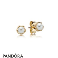 Pandora Collections Cultured Elegance Stud Earrings Pearl 14K Gold Jewelry Pandora Collections Cultured Elegance Stud Earrings Pearl 14K Gold Jewelry