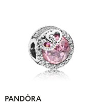 Women's Pandora Dazzling Love Bird Stringing Discount Jewelry Women's Pandora Dazzling Love Bird Stringing Discount Jewelry