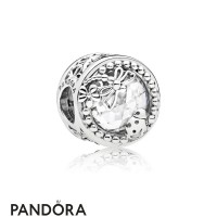 Women's Pandora Enchanted Nature Charm Jewelry Women's Pandora Enchanted Nature Charm Jewelry