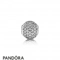 Pandora Essence Generosity Charm Jewelry