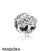 Women's Pandora Family Roots Openwork Charm Jewelry Women's Pandora Family Roots Openwork Charm Jewelry