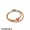 Women's Pandora Flamboyant Love Bracelet Jewelry