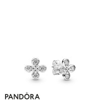 Women's Pandora Four Petal Flowes Earring Studs Jewelry