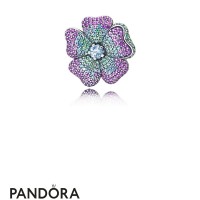 Women's Pandora Glorious Blooms Necklace Pendant Jewelry Women's Pandora Glorious Blooms Necklace Pendant Jewelry