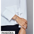 Women's Pandora Heart Balloons Dangle Charm Jewelry