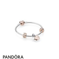 Women's Pandora In My Heart Bracelet Gift Set Pandora Rose And Multi Colored Crystals Jewelry Women's Pandora In My Heart Bracelet Gift Set Pandora Rose And Multi Colored Crystals Jewelry