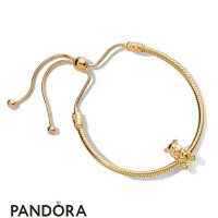 Women's Pandora Lifelong Companionship Jewelry Women's Pandora Lifelong Companionship Jewelry