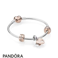 Women's Pandora Love Cz Jewelry