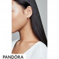 Women's Pandora Matte Brilliance Hoop Earrings Pandora Rose Jewelry