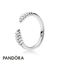 Women's Pandora Open Grains Ring Jewelry Women's Pandora Open Grains Ring Jewelry