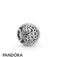 Women's Pandora Openwork Flower Charm Jewelry Women's Pandora Openwork Flower Charm Jewelry