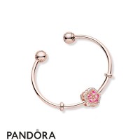 Women's Pandora Peach Full Of Flowers Bracelet Jewelry Women's Pandora Peach Full Of Flowers Bracelet Jewelry