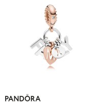 Women's Pandora Perfect Family Pendant Charm Jewelry Women's Pandora Perfect Family Pendant Charm Jewelry