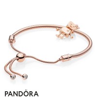 Women's Pandora Rose Bella Bot Bracelet Set Jewelry Jewelry Women's Pandora Rose Bella Bot Bracelet Set Jewelry Jewelry