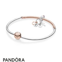 Pandora Rose Bff Forever Bangle Set Jewelry Pandora Rose Bff Forever Bangle Set Jewelry