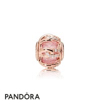 Pandora Rose Bonds Of Love Essence Charm Jewelry Pandora Rose Bonds Of Love Essence Charm Jewelry