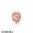 Pandora Rose Bonds Of Love Essence Charm Jewelry