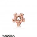 Pandora Rose Bonds Of Love Essence Charm Jewelry